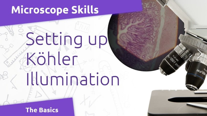 Setting up Kohler illumination on your microscope