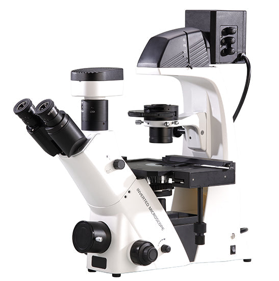 Inverted Biological Microscopes