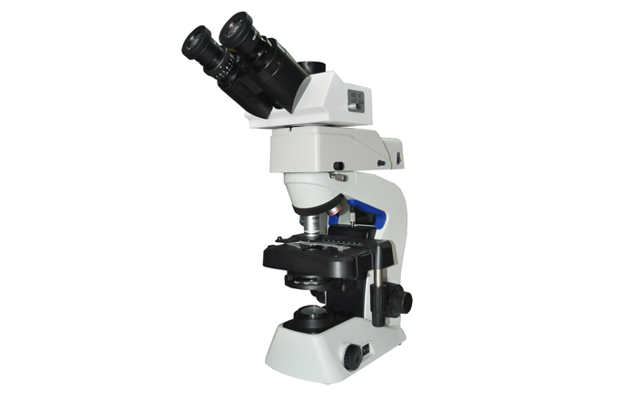 Mshot MF23 Upright Fluorescence Microscope - product image