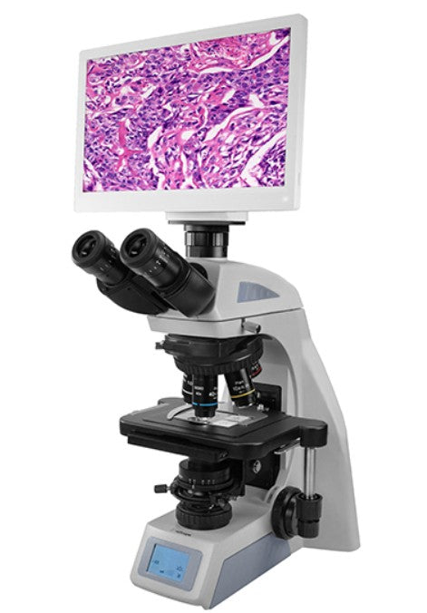 AUC2-274-LCD Upright Digital & Optical Biological Microscope