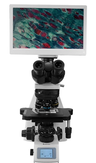 AUC2-274-LCD Upright Digital & Optical Biological Microscope