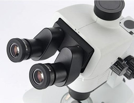 AUC-380 Series Stereo Zoom with Parallel Optics (Research Grade) with Viewing Head & Base Options