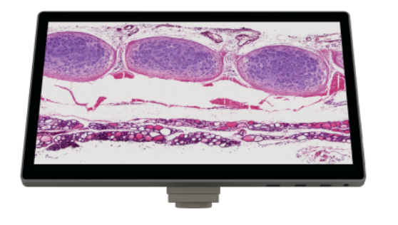 AUC4-221-LCD Digital & Optical Biological Microscope