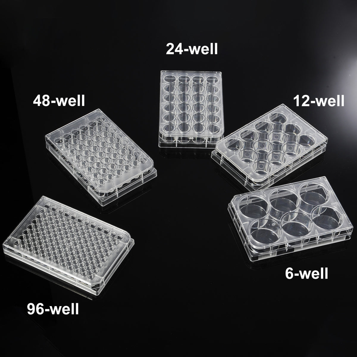 Biologix® Cell Culture Plates-6/12/24/48/96-Wells, 1 Piece/Pack, 50 Packs/Case