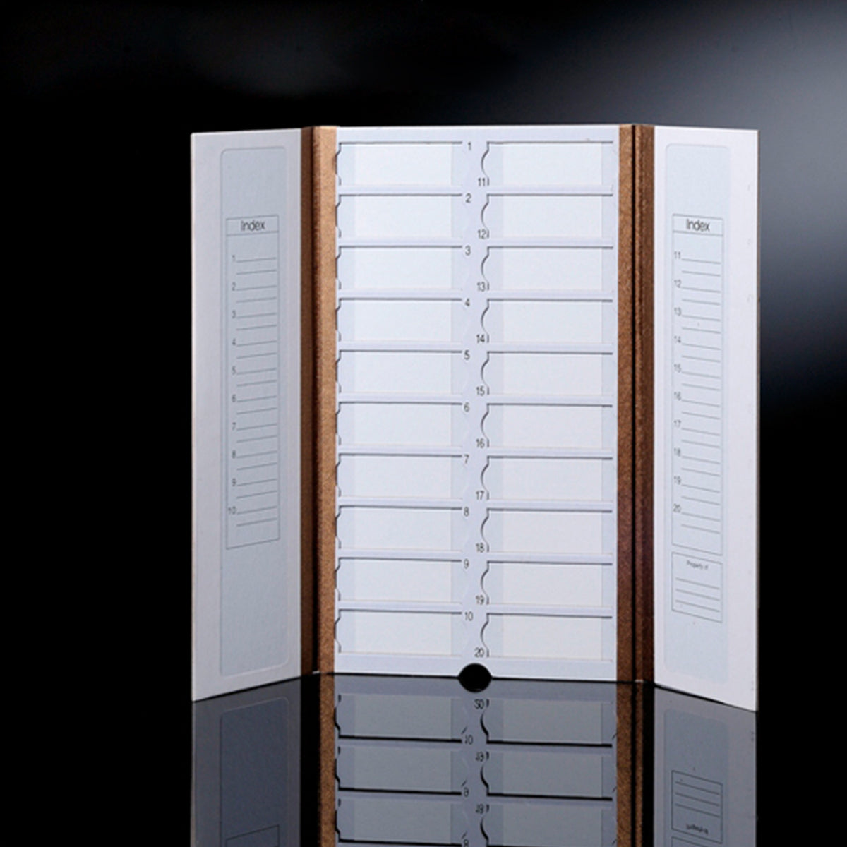 Biologix® Histology Mailer Box, 10 Mailers/Pack, 4 Packs/Case