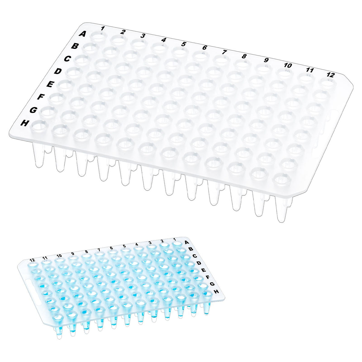 Biologix® PCR Plates-0.2mL Non-Skirted (96-well), 10 Pieces/Pack, 10 Packs/Case