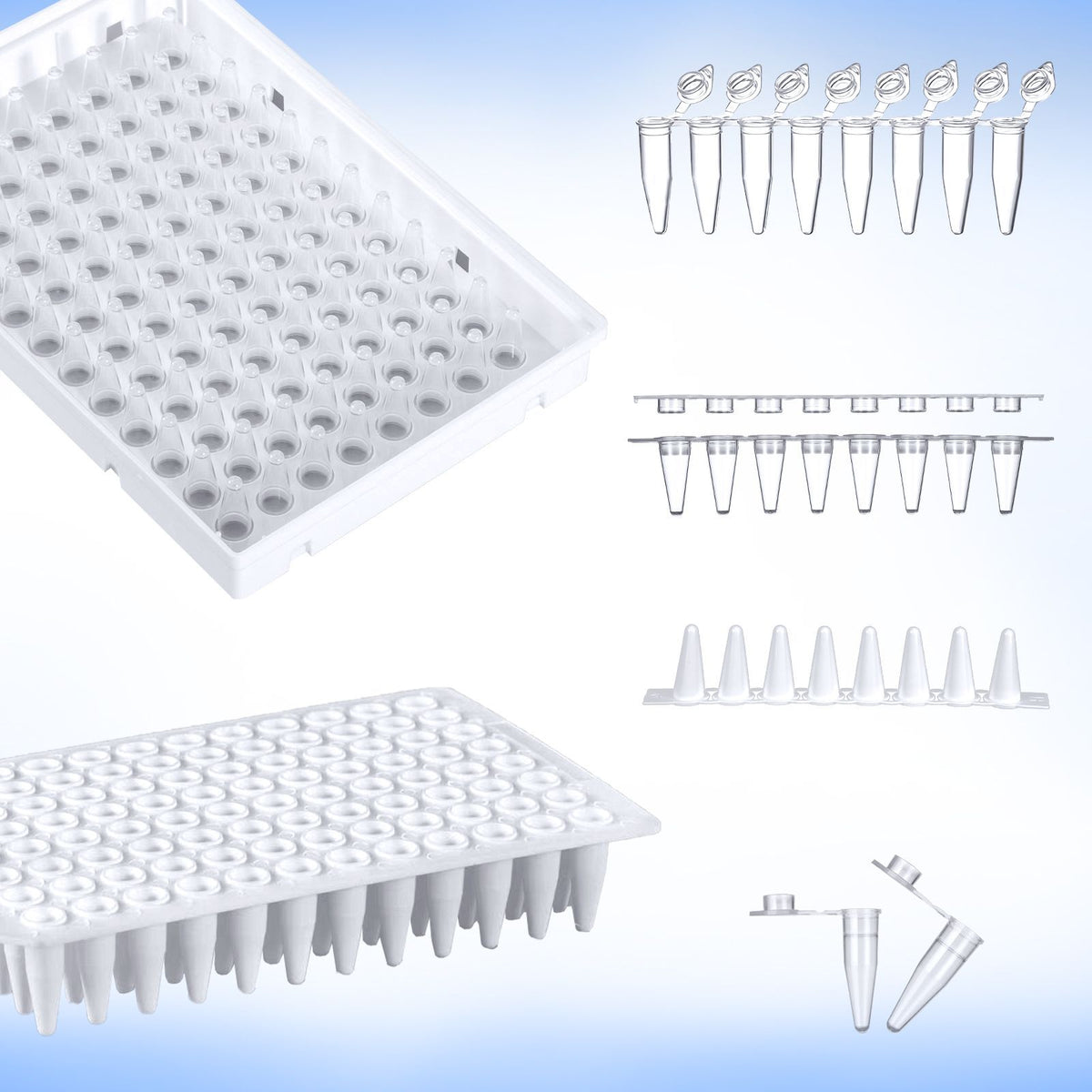 Biologix® 8-Strip PCR Tubes-0.1mL, 125 Strip Tubes+125 Strip Caps/Pack, 10 Packs/Case