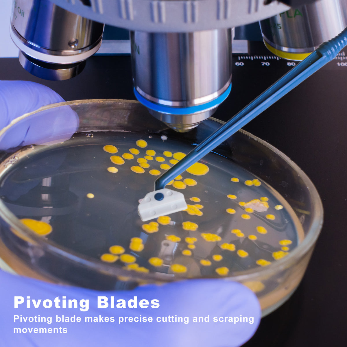 Biologix® Cell Scrapers -Handle, Individual Package