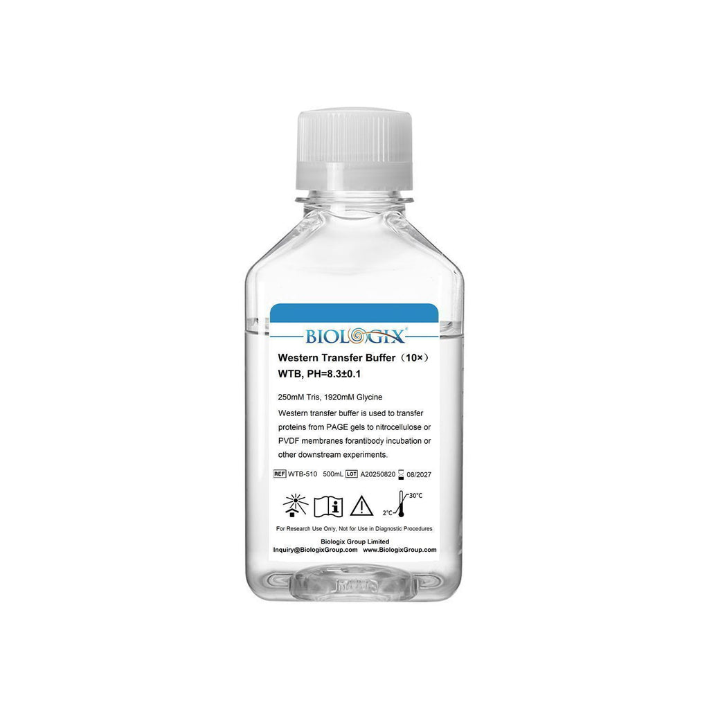 Biologix® Western Transfer Buffer ( 10X ), pH 8.3, 500mL/ Bottle