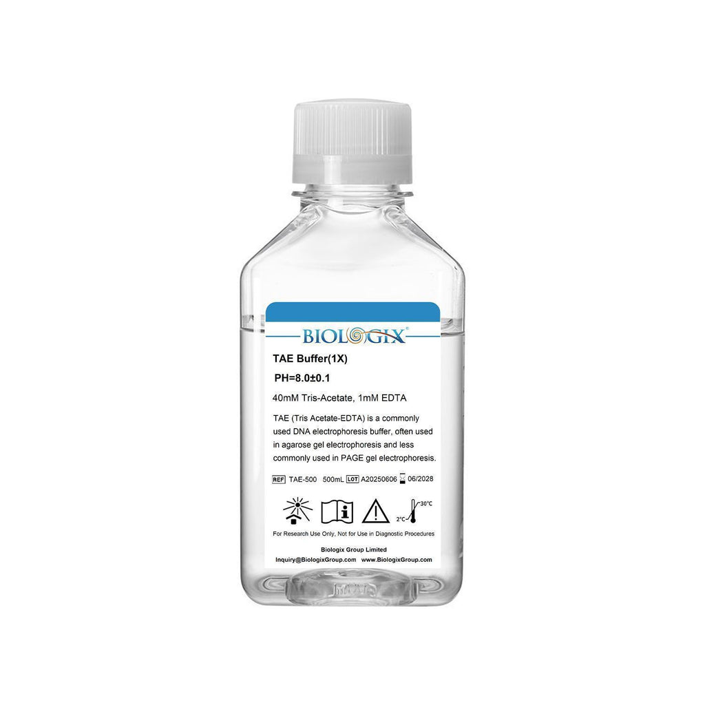 Biologix TAE ( Tris Acetate-EDTA ) Buffer ( 1x ), pH8.0, 500mL/Bottle