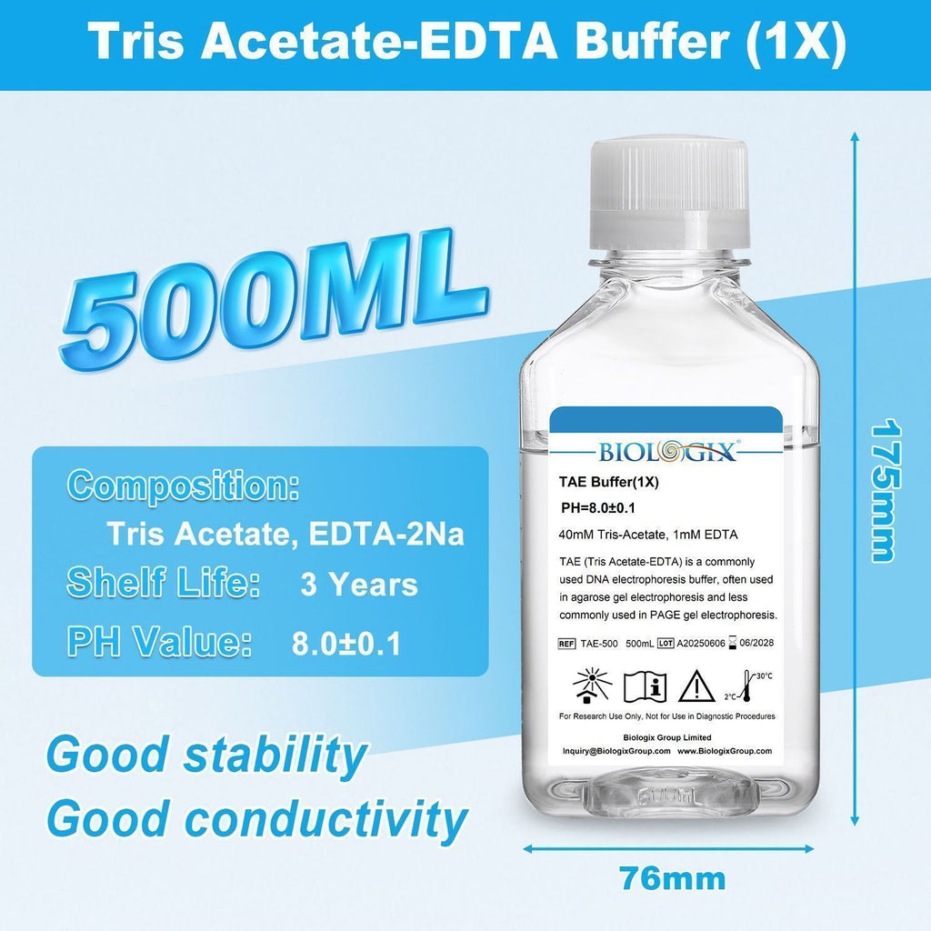 Biologix TAE ( Tris Acetate-EDTA ) Buffer ( 1x ), pH8.0, 500mL/Bottle