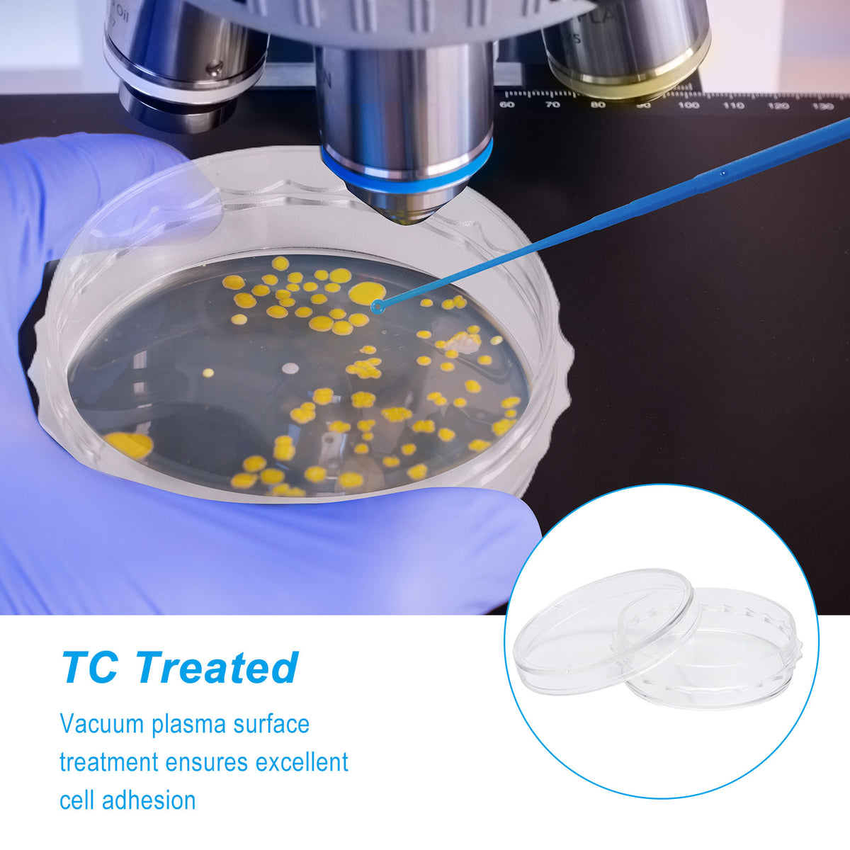Biologix® Cell Culture Dish, 60x15mm PS, TC treated, sterile to SAL 10-6, external grip, Domestic raw materials, DNase & RNase free, 10/bag, 50 bags/case