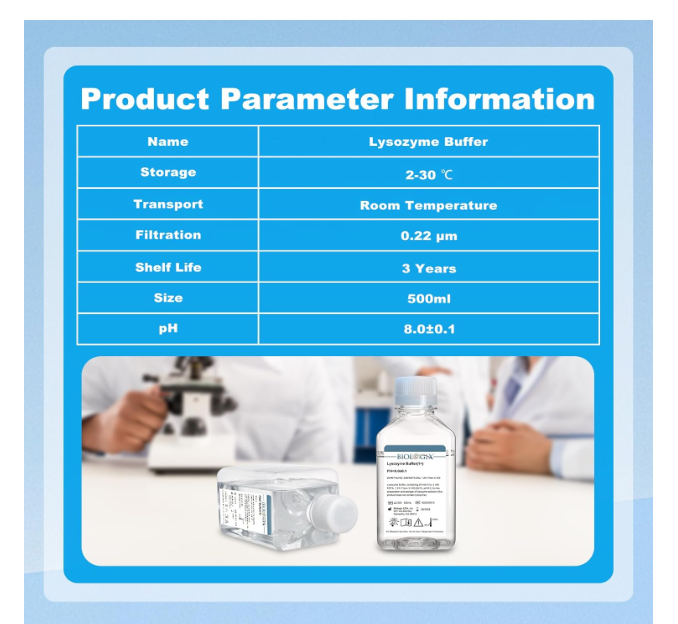 Biologix® Lysozyme Buffer ( 1X ), pH 8.0, 500mL/Bottle, 10 Bottles/Case