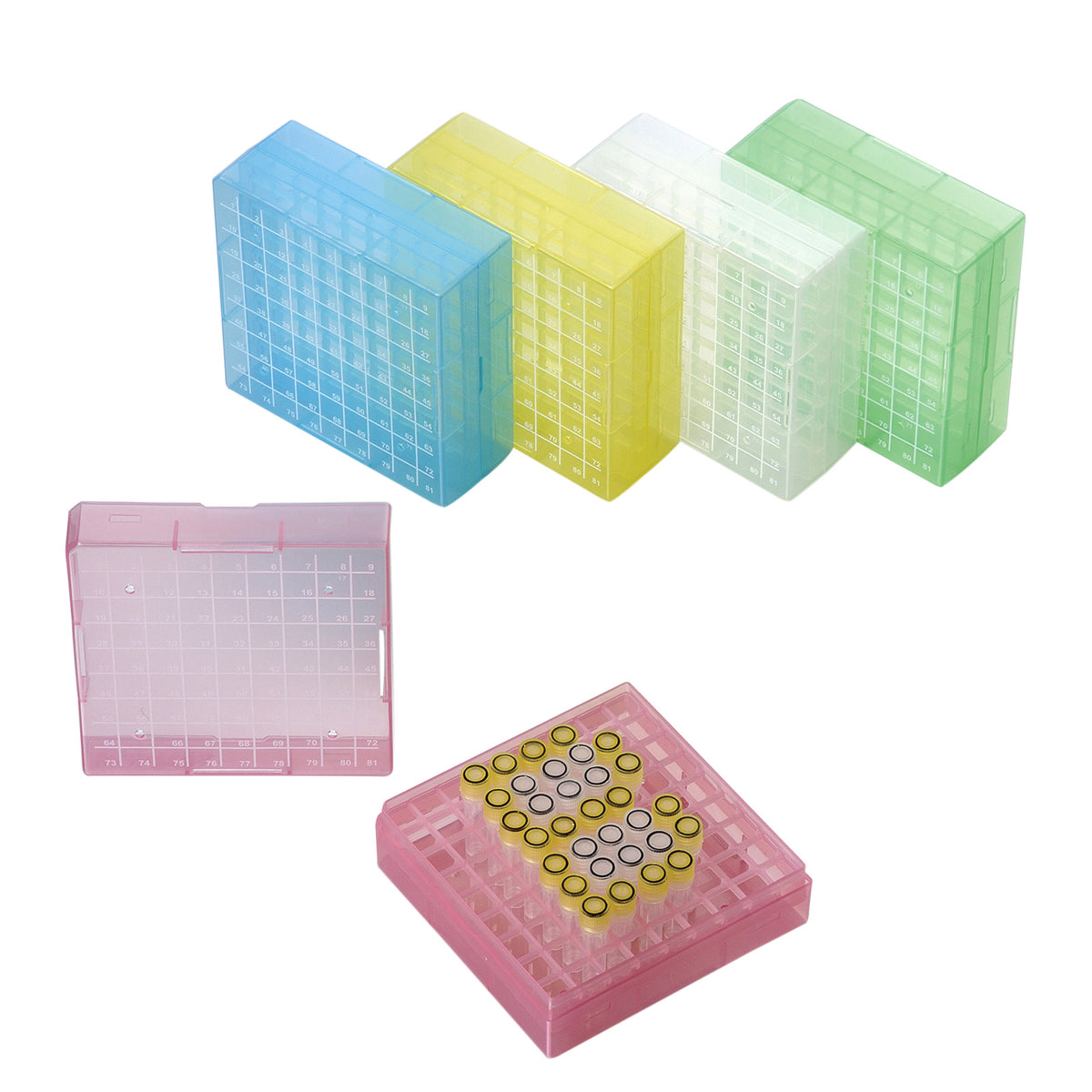 Biologix® PP Cryogenic Storage Boxes, 2 Inch, 81-Well, 5 /Bag, 4 Bags/Case