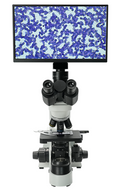 AUC5-227-LCD Digital & Optical Biological Microscope