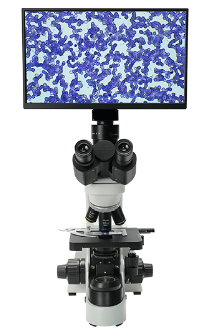 AUC5-227-LCD Digital & Optical Biological Microscope