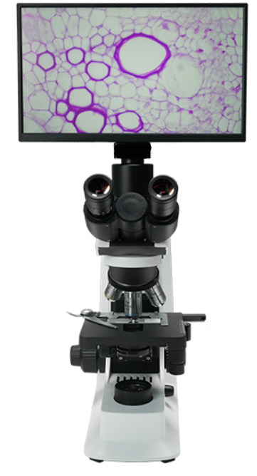 AUC5-236-LCD Digital & Optical Biological Microscope