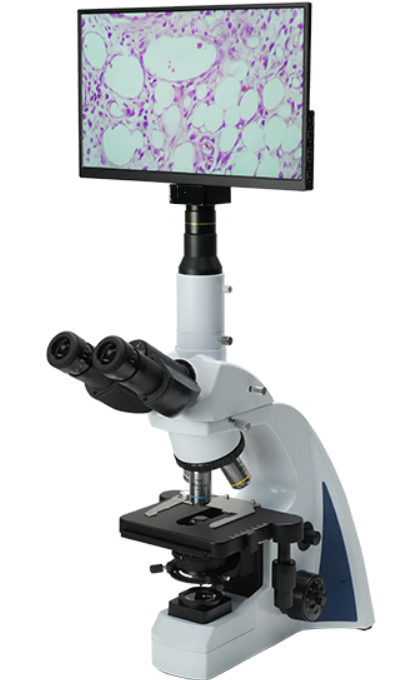 AUC5-241-LCD Digital & Optical Upright Biological Microscope