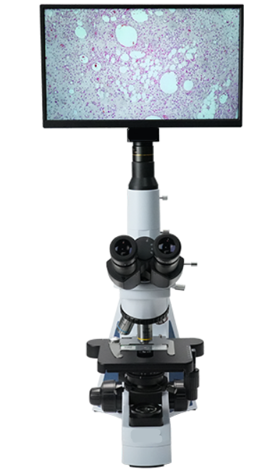 AUC5-241-LCD Digital & Optical Upright Biological Microscope