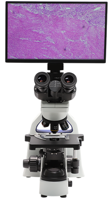 AUC5-243-LCD Digital & Optical LED Biological Microscope