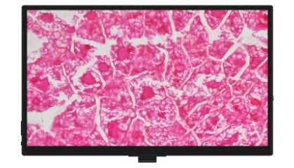 AUC5-293A-LCD Inverted Digital & Optical Biological Microscope
