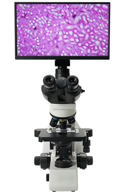 AUC5-253 / AUC5-254 LCD Digital & Optical Biological Microscopes – 13.3″ 4K Display