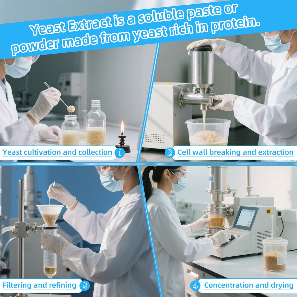 Biologix® Yeast Extract, Powder, 500g/Bottle