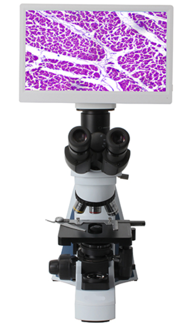 AUC2-241-LCD FULL HD LCD DIGITAL & OPTICAL BIOLOGICAL MICROSCOPE