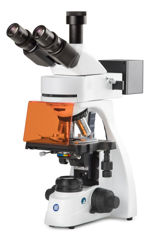 Auckland Scientific Euromex BS.3153-PLi