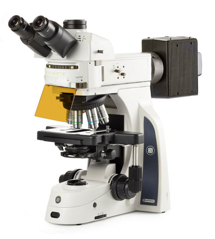 Euromex Delphi-X Observer Microscope