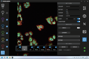 Mshot MIX60-FLD Intelligent Eyepiece-Free Inverted Fluorescence Microscope - additional MSHOT product image