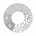 Microscope Eyepiece Reticules (Graticules) G41 ASTM Grain Sizing Austenite