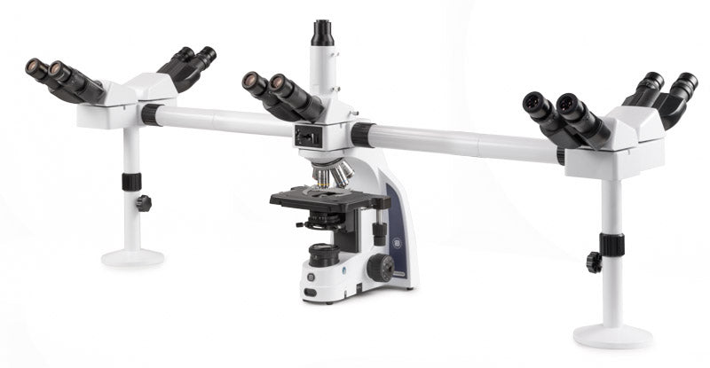 Euromex iScope microscope model IS.1156-PLi5