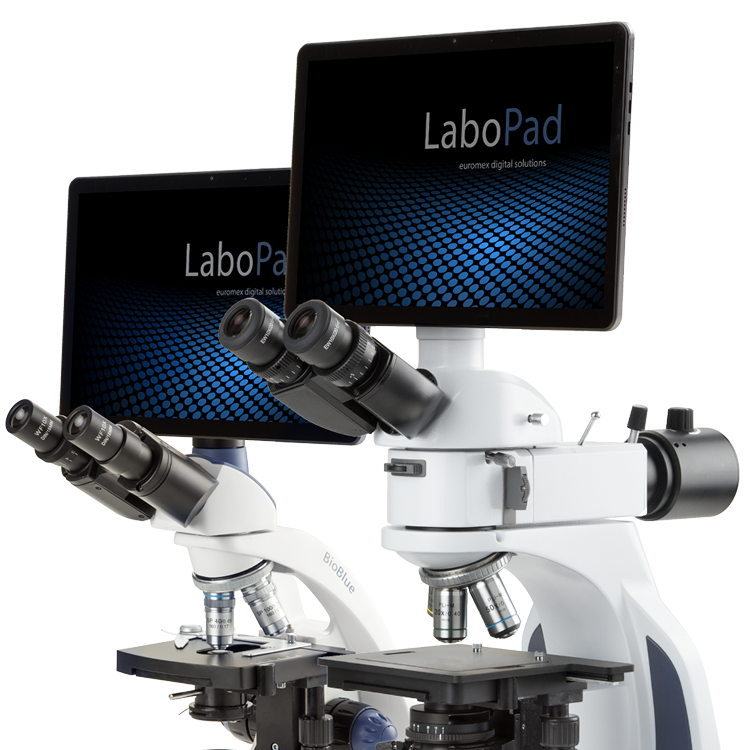 Euromex LaboPad Microscope Tablet Systems