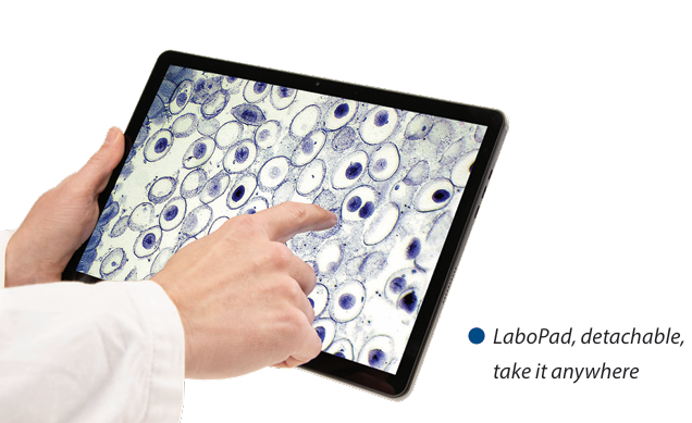 Euromex LaboPad Microscope Tablet Systems