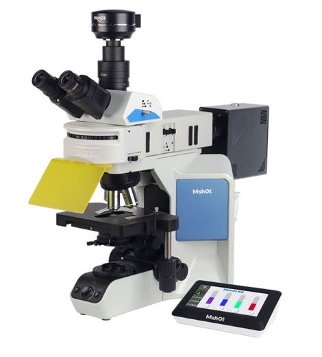 Mshot MF43-N Research Grade Upright Fluorescence Microscope
