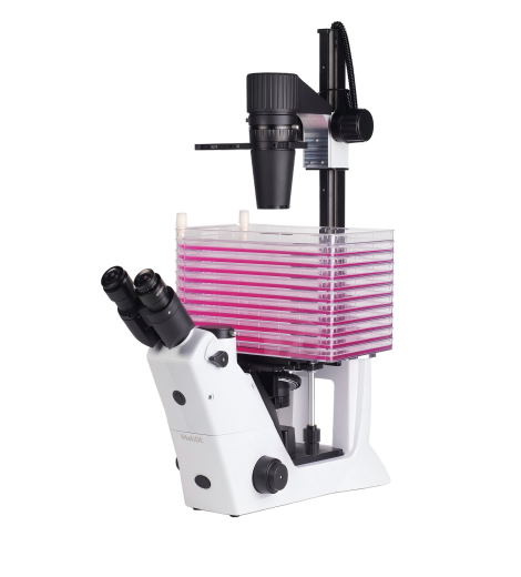 Mshot MIX60-CF Inverted Cell Factory Microscope - product image