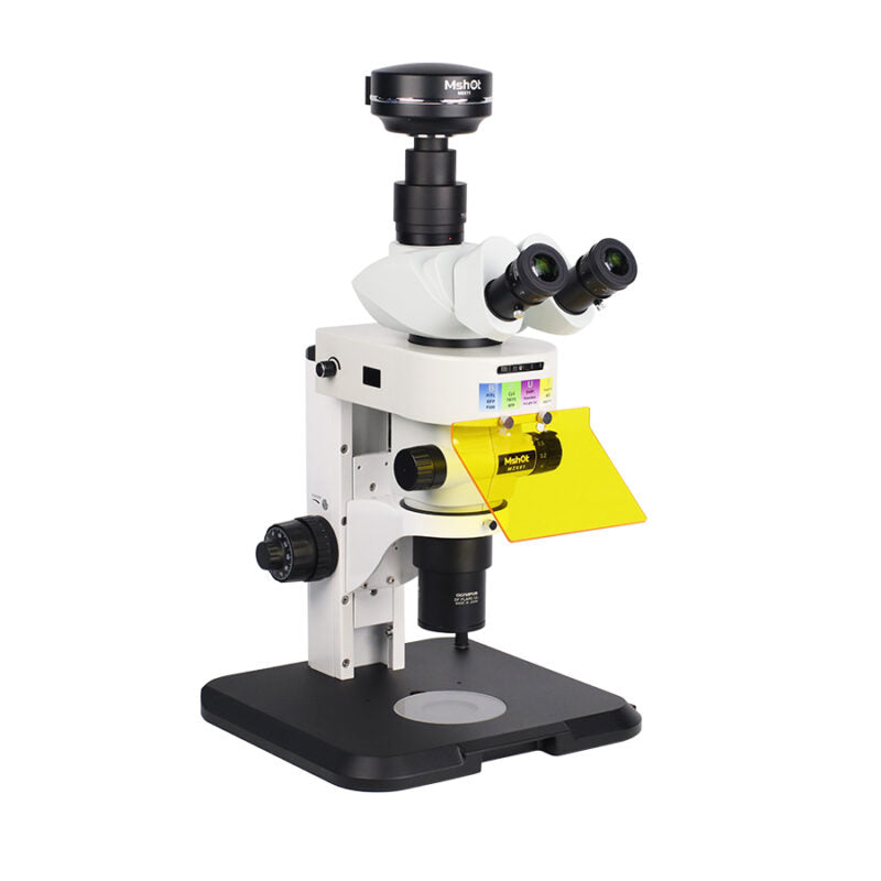 Mshot MZX81 Stereo Fluorescence Microscope - additional MSHOT product image