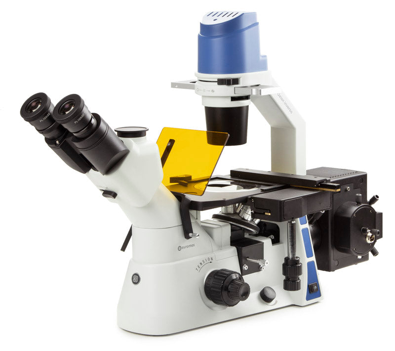 Euromex Oxion Inverso Inverted Microscope