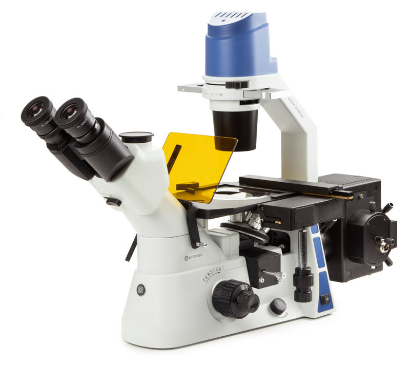 Euromex Oxion Inverso Inverted Microscope