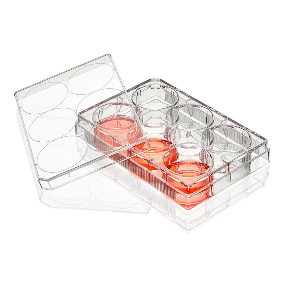 Globe Scientific TC-PLT-6-NT