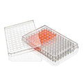 Globe Scientific TC-PLT-96-R-NT