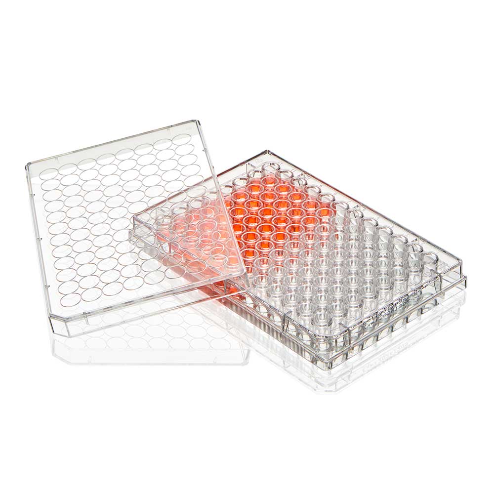 Globe Scientific TC-PLT-96-R-NT