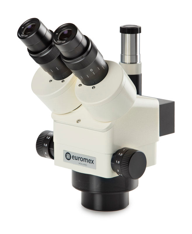Euromex E-Series and Z-Series Stereo Microscope Heads