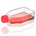 Globe Scientific product image for SKU TC-FLSK-75-P