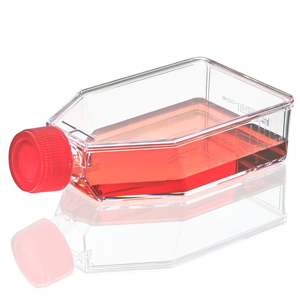 Globe Scientific product image for SKU TC-FLSK-75-P