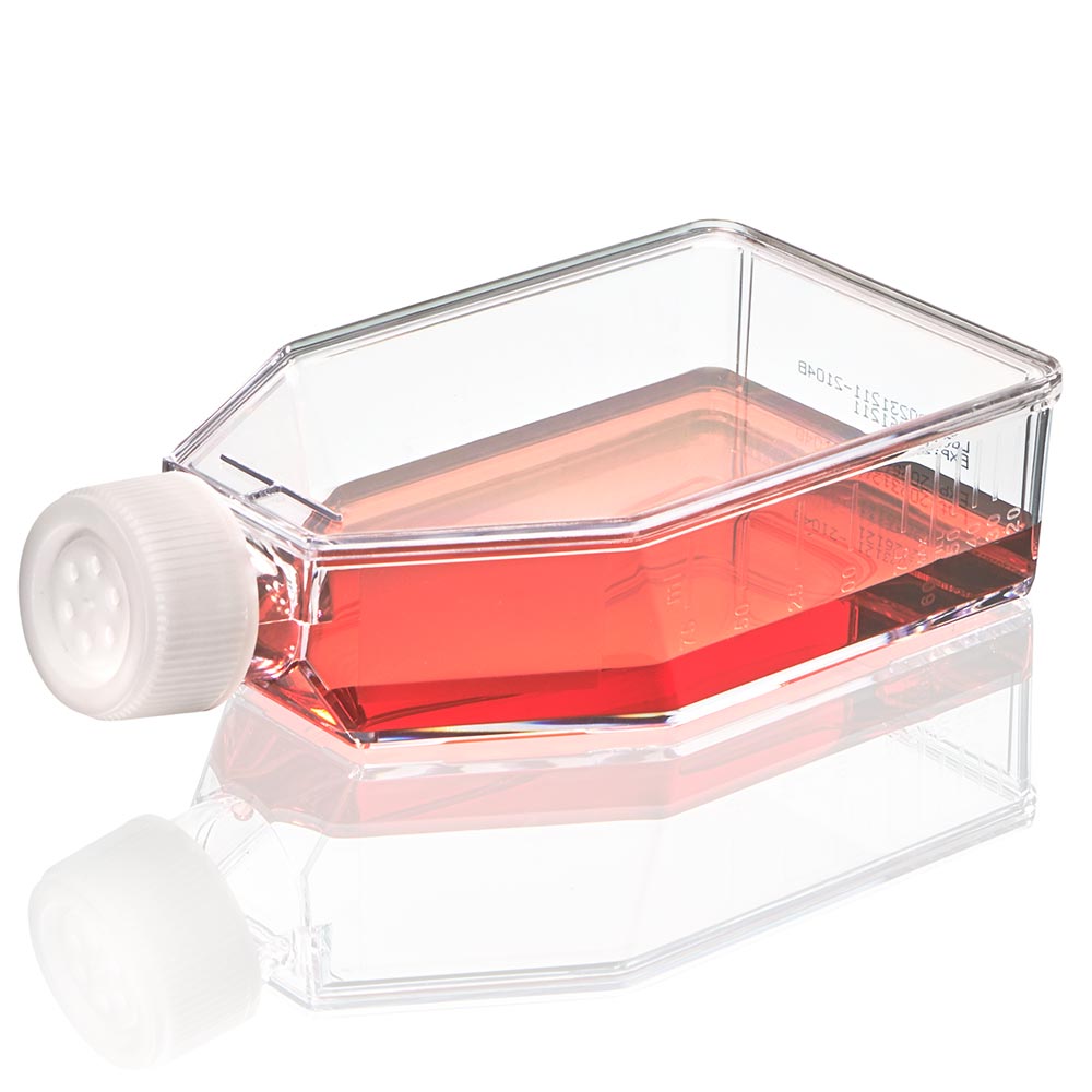 Globe Scientific product image for SKU TC-FLSK-75-V-NT