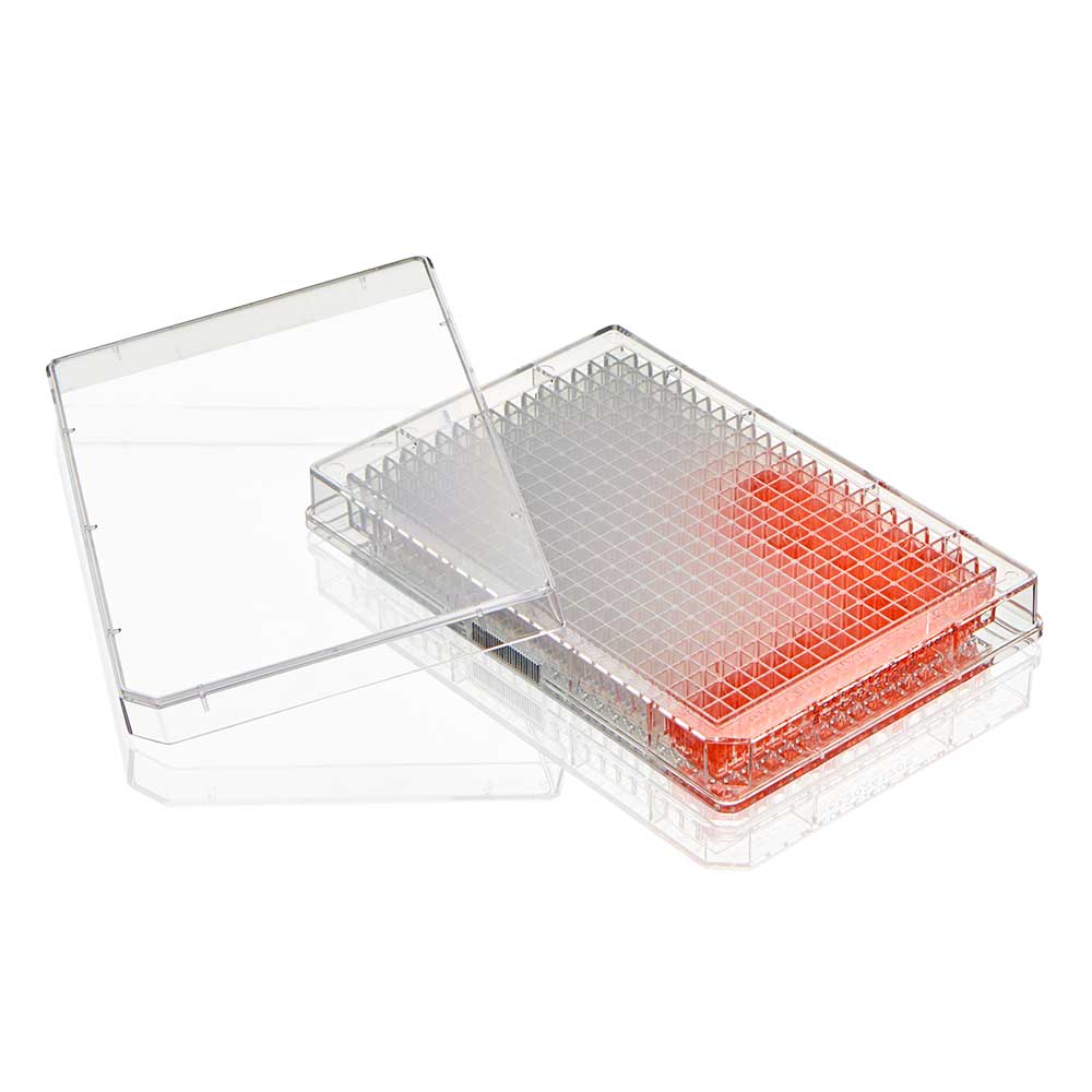 Globe Scientific product image for SKU TC-PLT-384