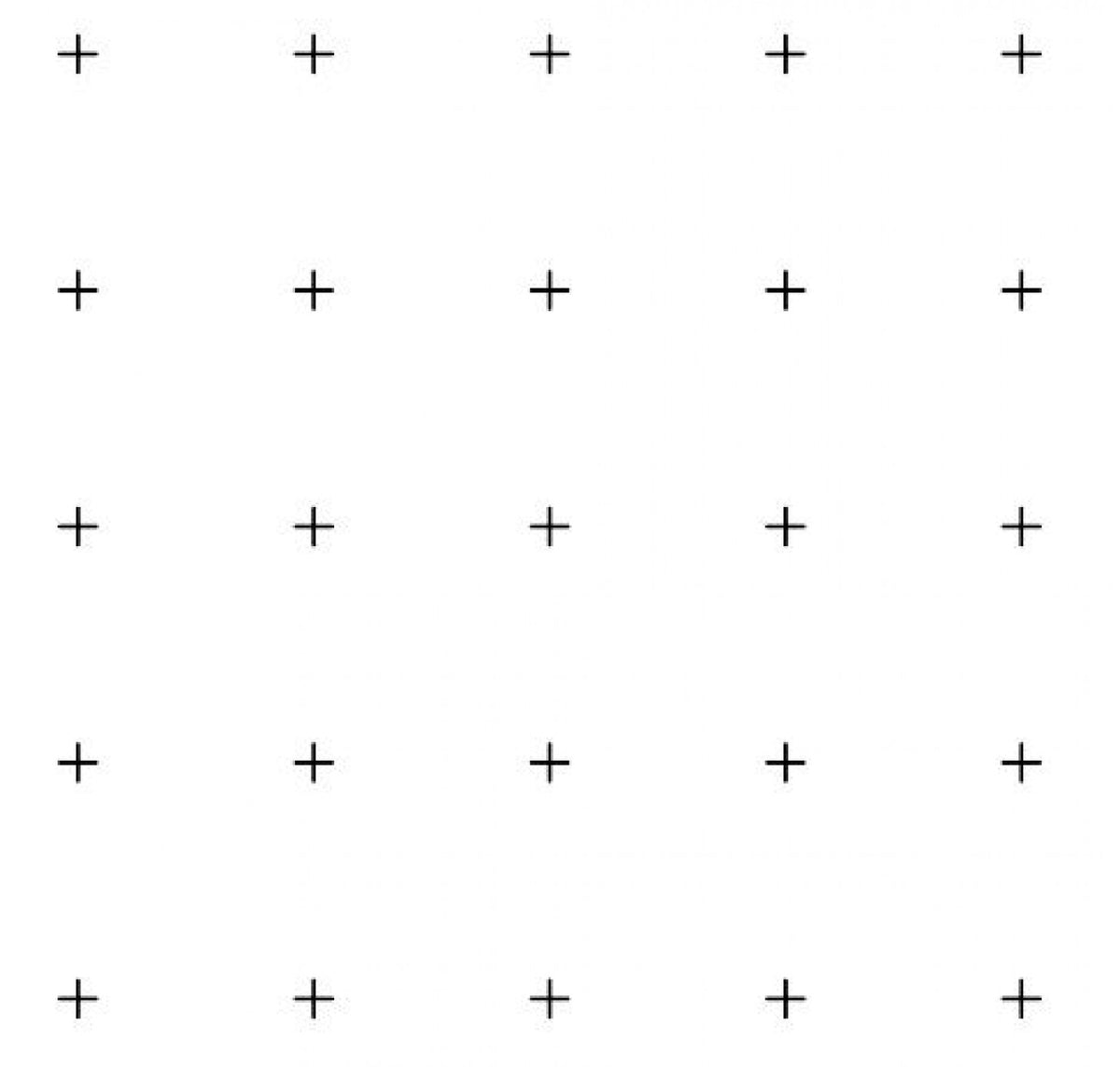 Microscope Eyepiece Reticules (Graticules) G55 25-point square grid