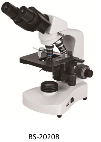 BS-2020B Biological Microscope
